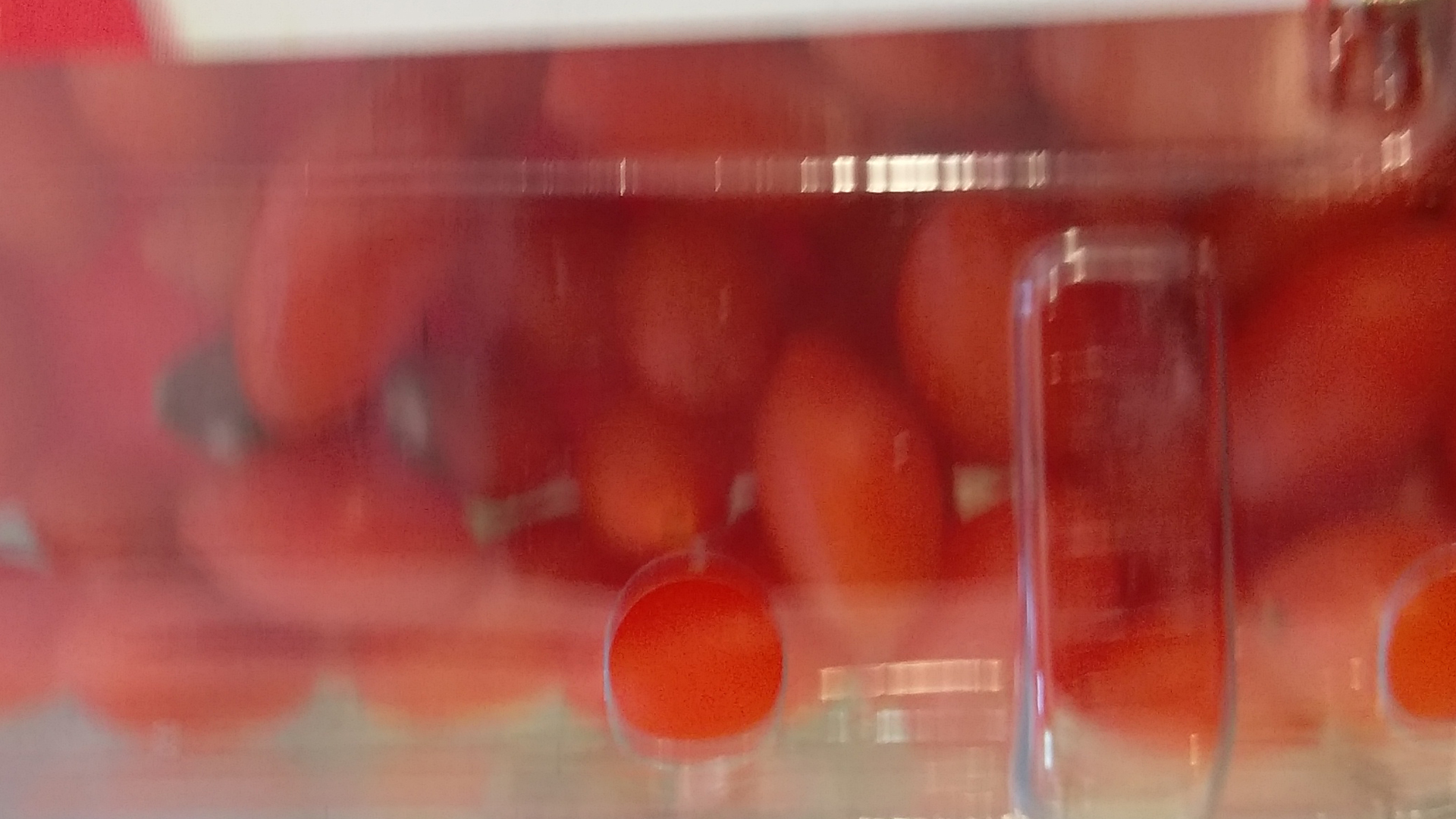 goji-beeren-frisch-in-Schale