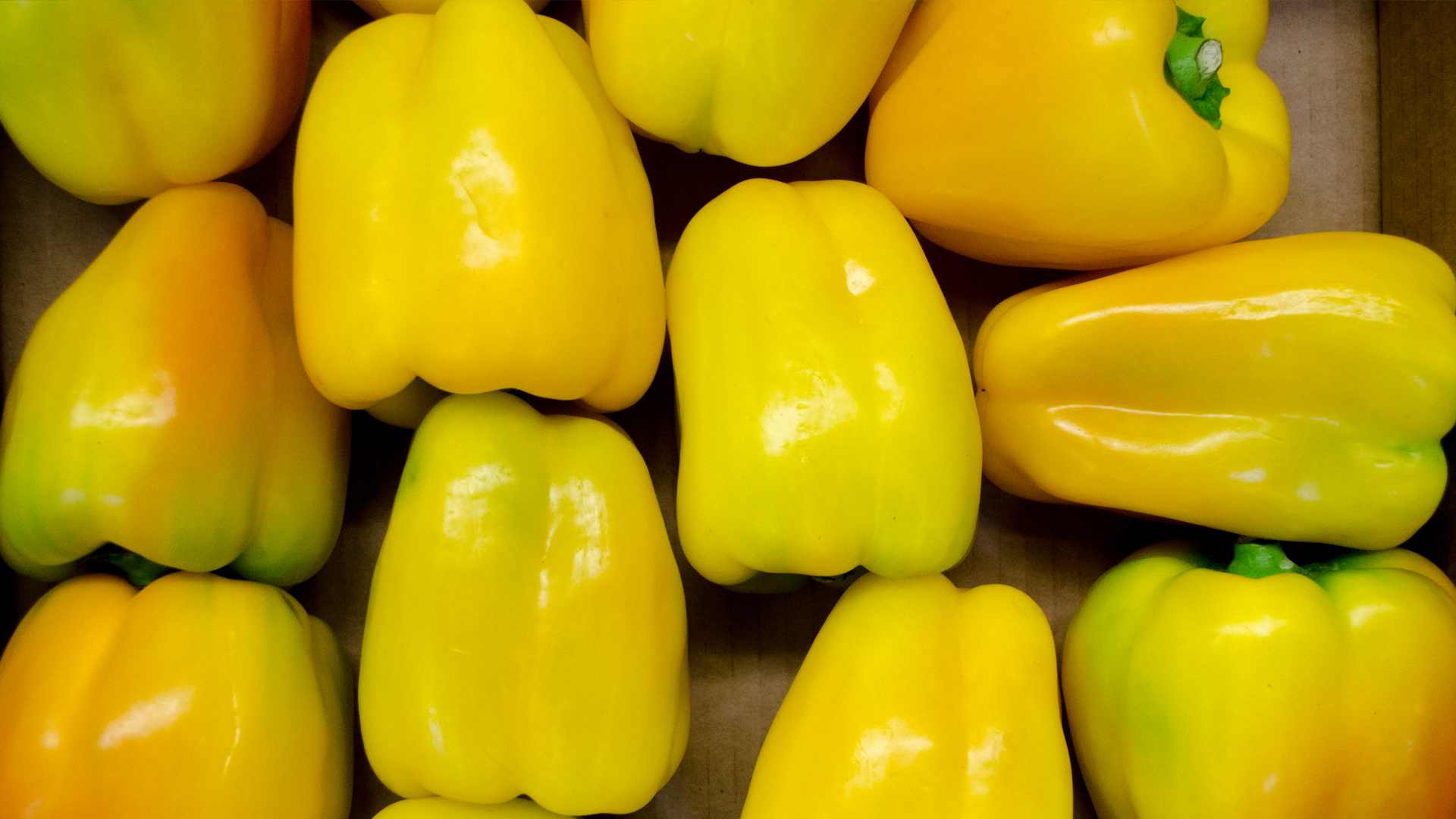 Bio-Paprika-gelb Bio Paprika gelb 0,5kg