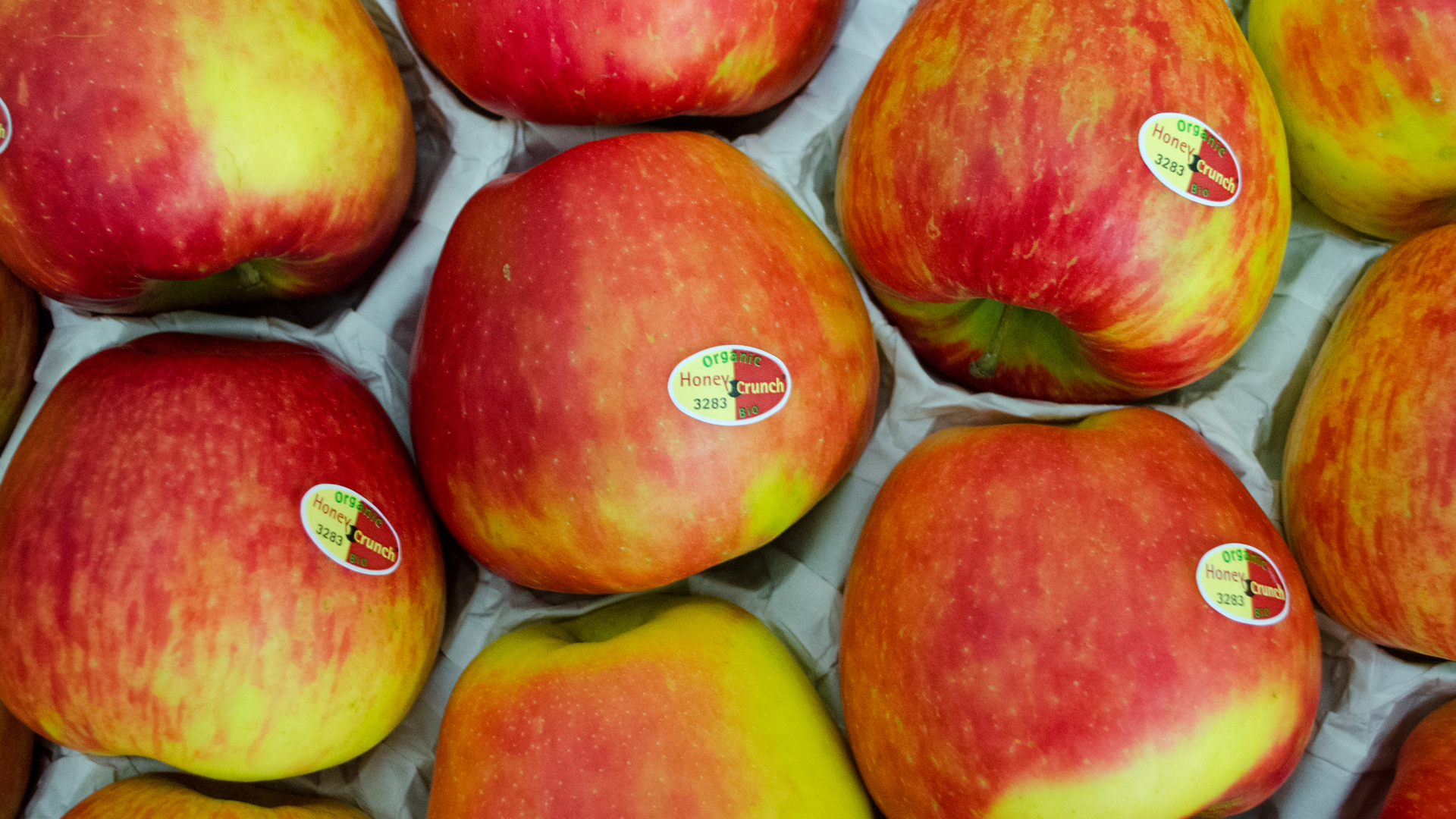 Bio-Apfel-Honey-Crunch Bio Apfel Honeycrunch® gelegt Kiste