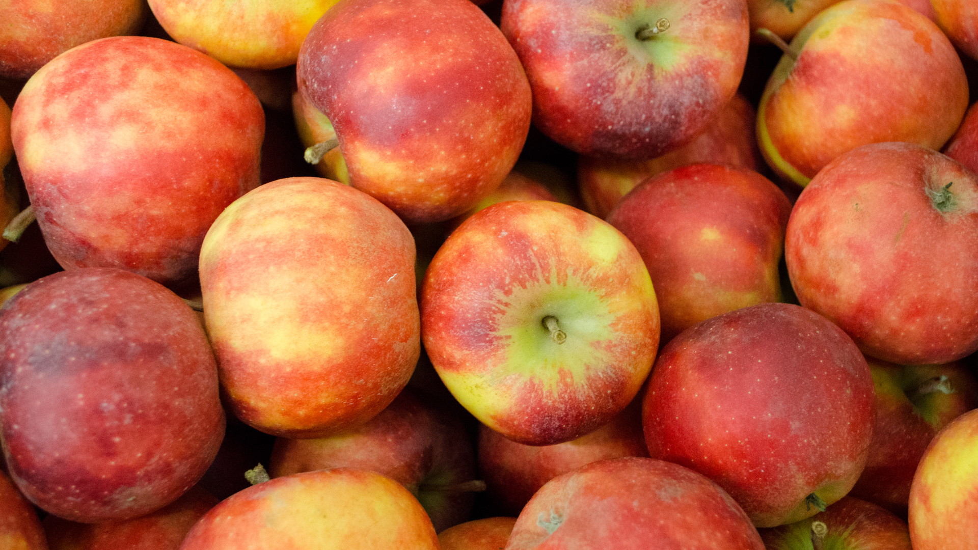 Bio-Apfel-Elstar5a6307463d7f5 Bio Apfel Elstar Frankreich Kiste