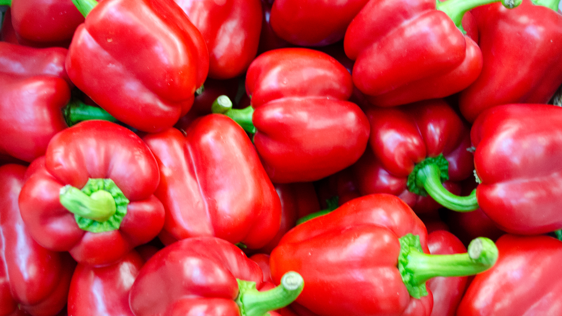 Bio-Paprika-rot5a632c25e924a