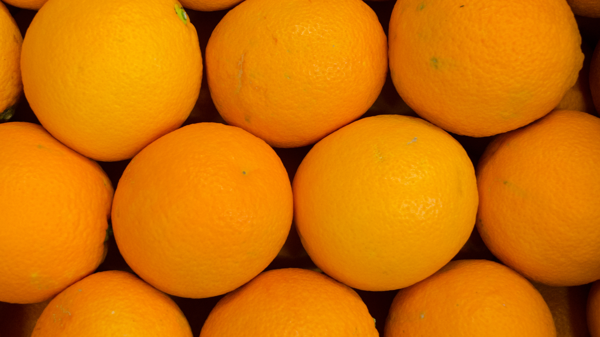 Bio-Blutorange Bio Blutorangen Moro