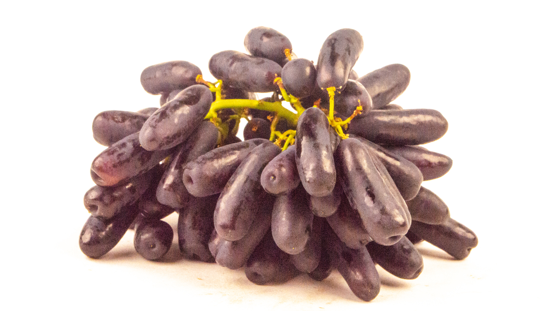 Trauben-blau-lang-1 Saphir Trauben blau lang kernlos