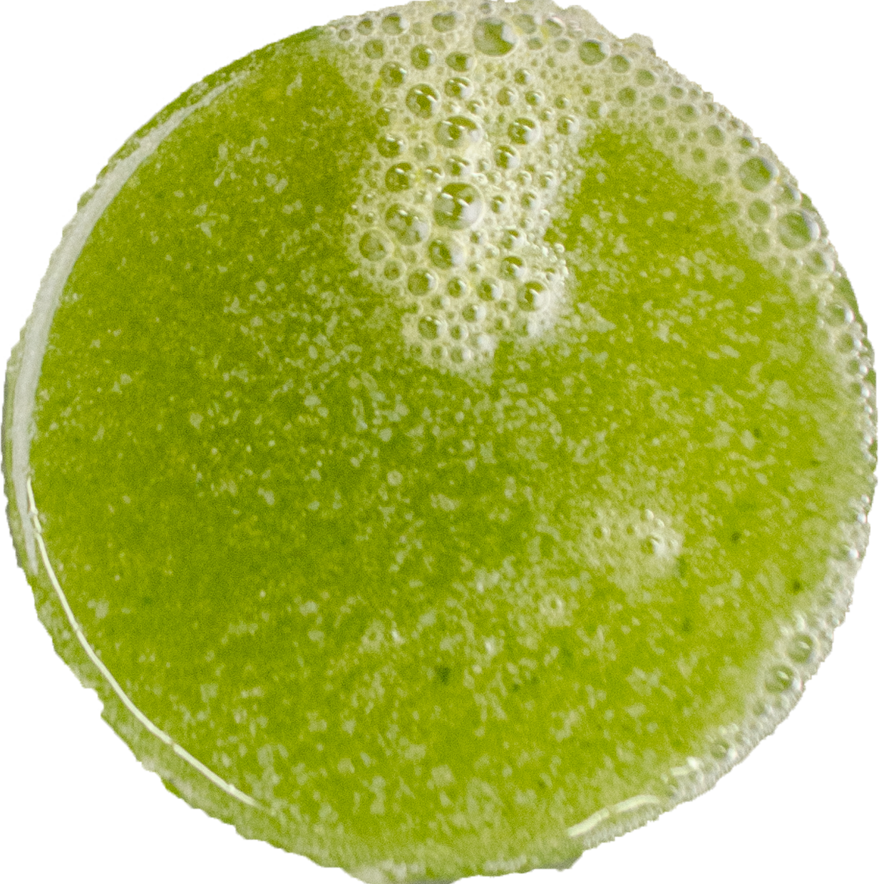Smoothie Green Papaya