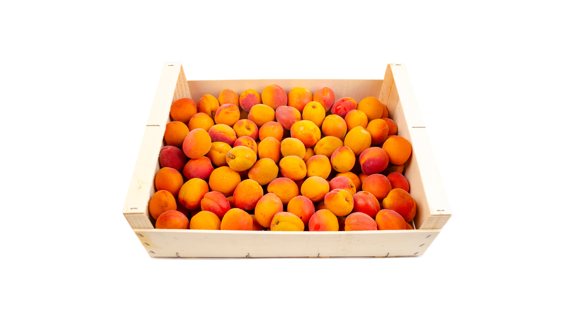 bio-aprikosen-frankreich Bio Aprikosen 5kg Kiste