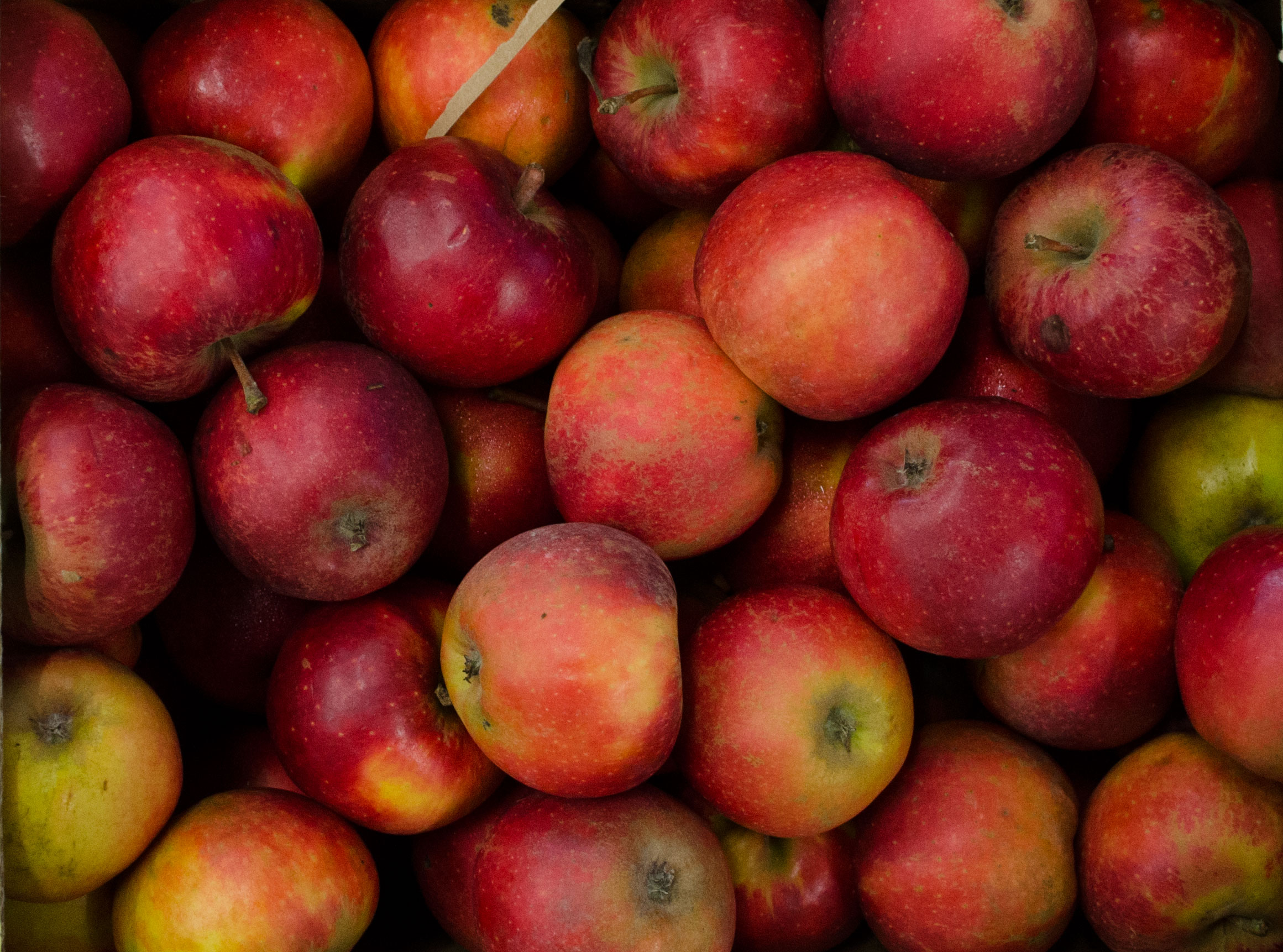 Bio-Apfel-Elstar Bio Apfel Elstar Demeter 8kg