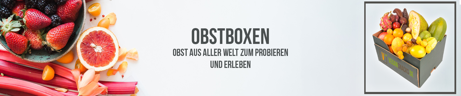 banner-main-vs-obstbox
