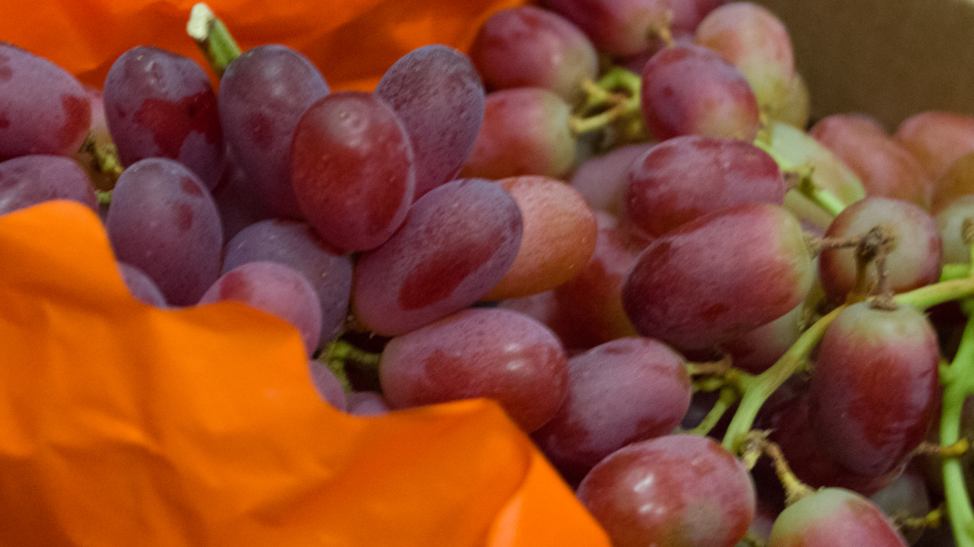 bio-weintrauben-kernlos-rot Bio Weintrauben rot kernlos Kiste