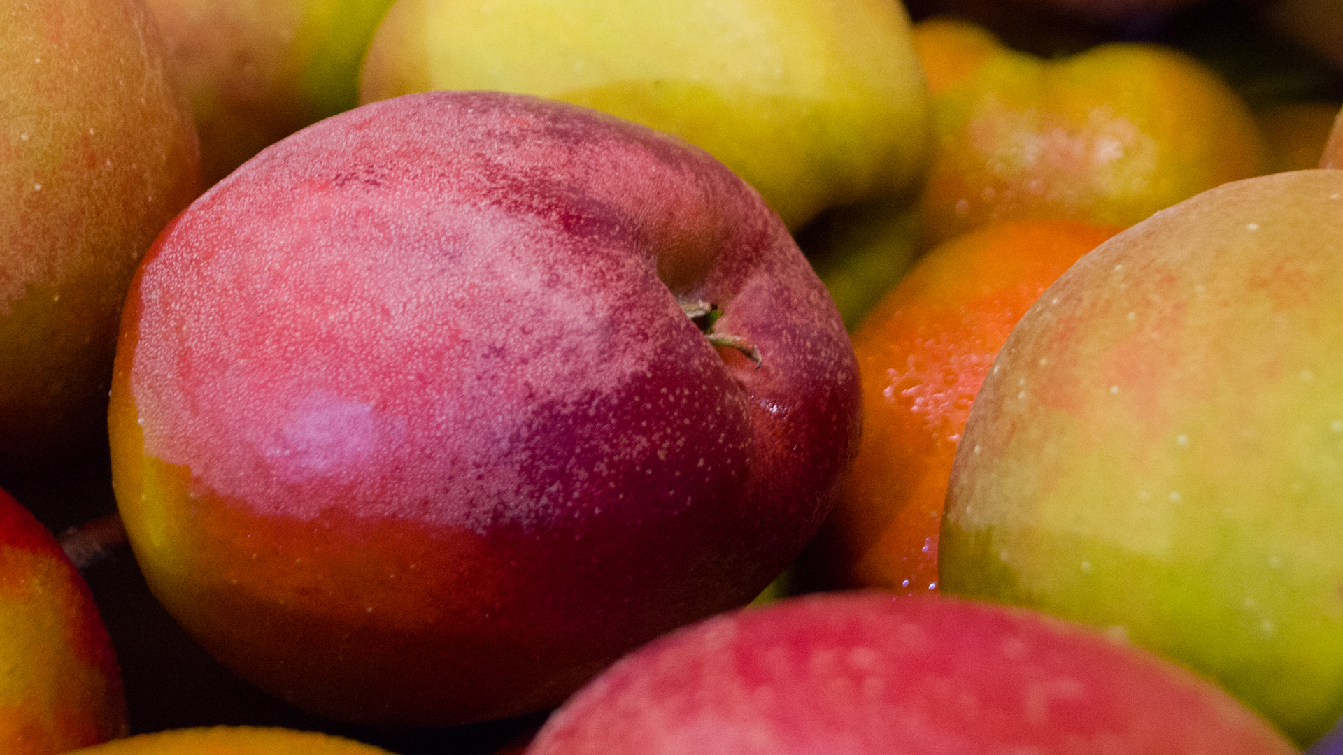 apfel-boskop-kiste-deutschland