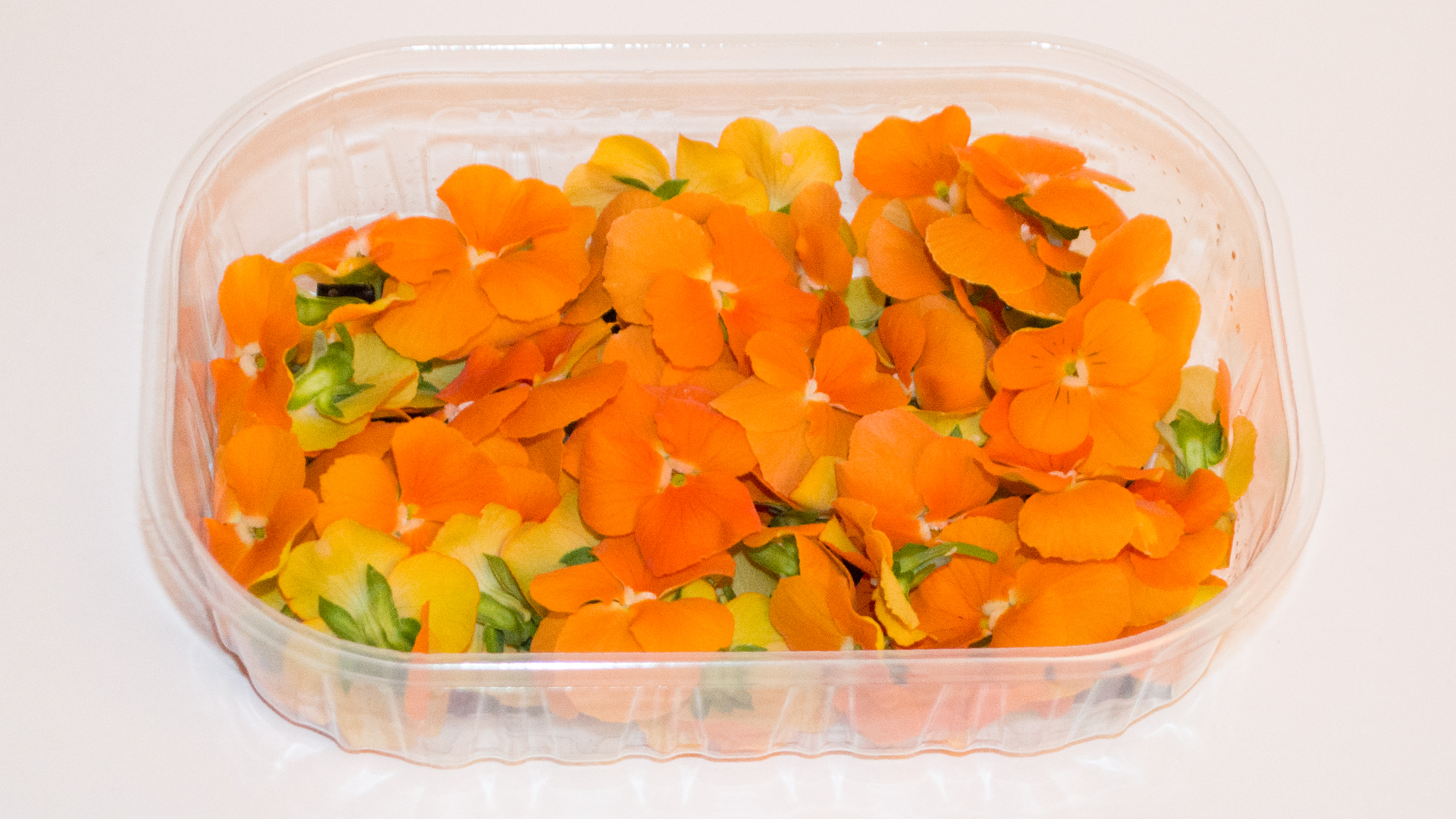 Hornveilchen orange - Essbare Blüten