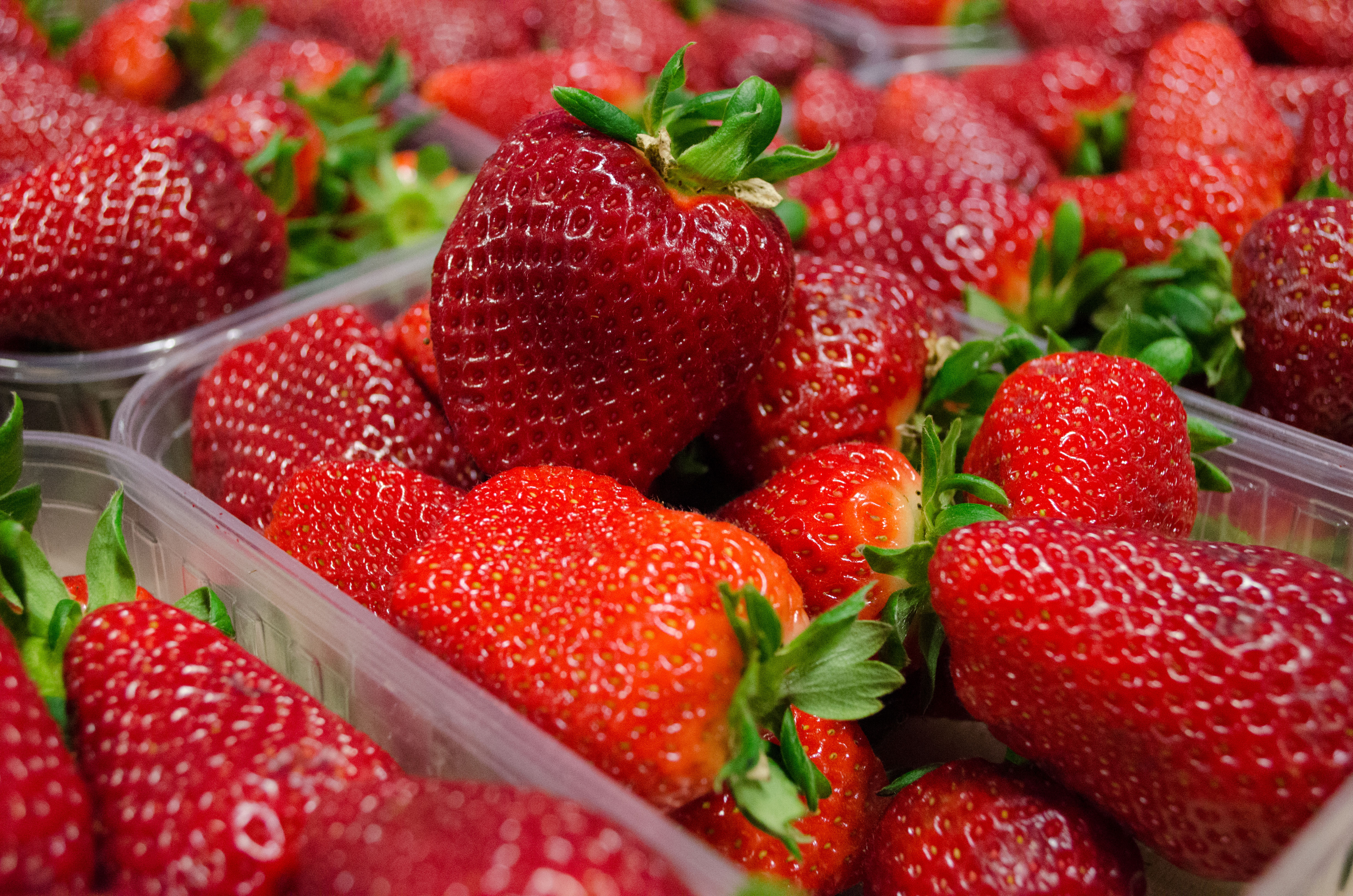 erdbeeren
