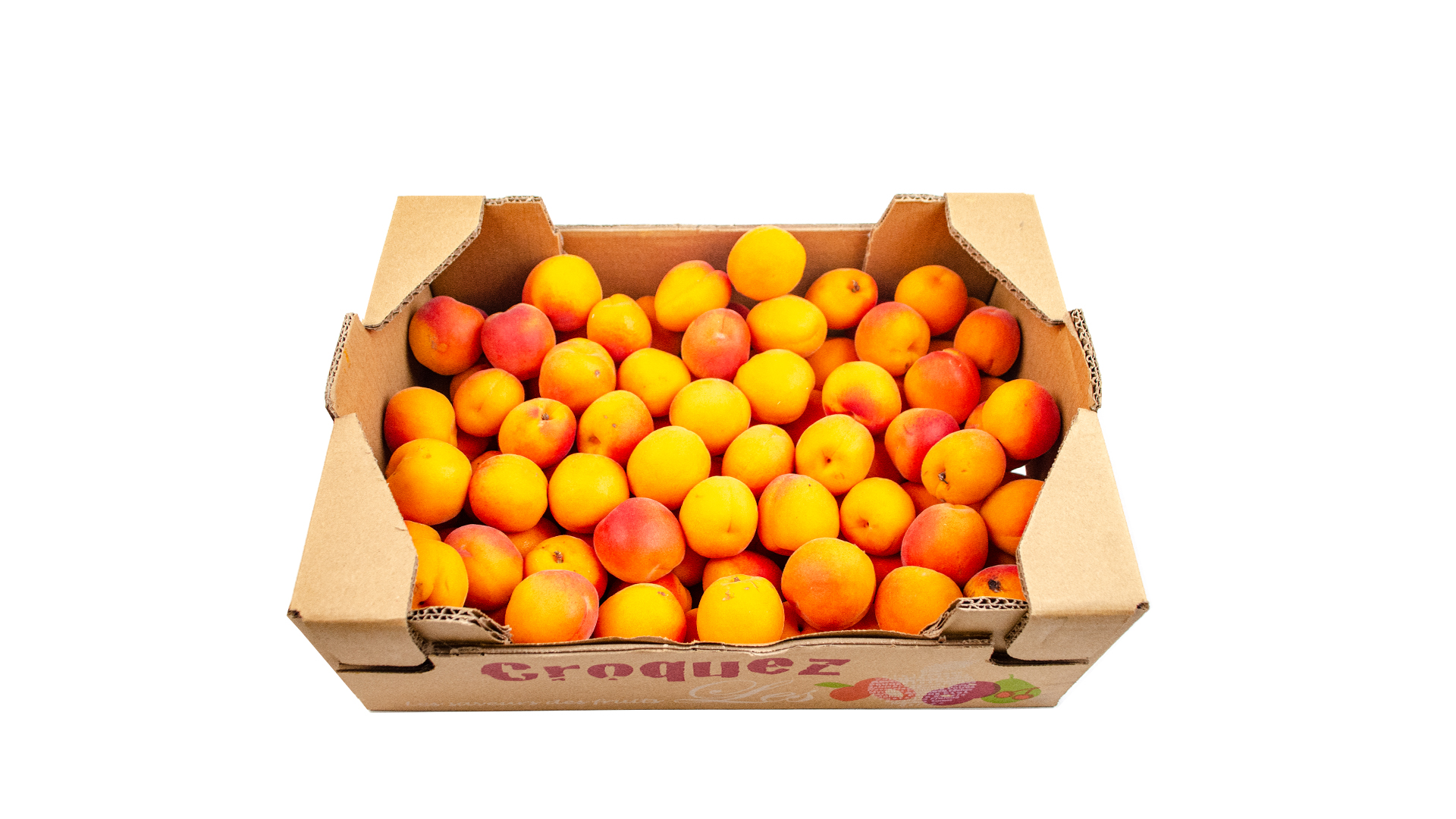 aprikosen-frankreich-croquez Aprikosen 5kg Kiste