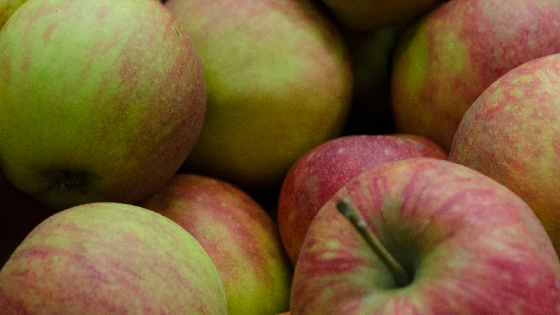 bio-apfel-boerrekamp Bio Apfel Börekamp Kiste