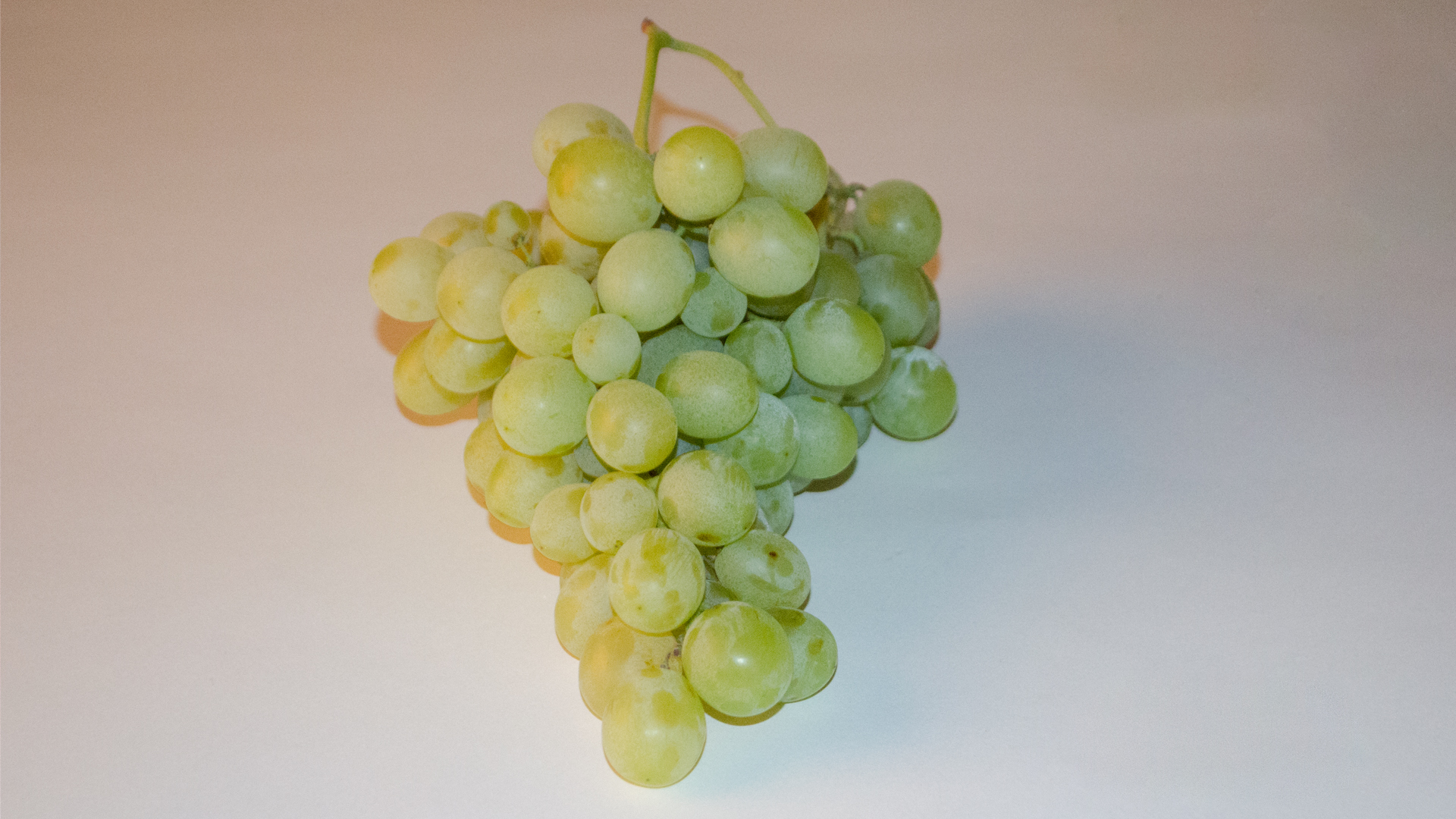 trauben-gr-n-mit-kernen Trauben grün