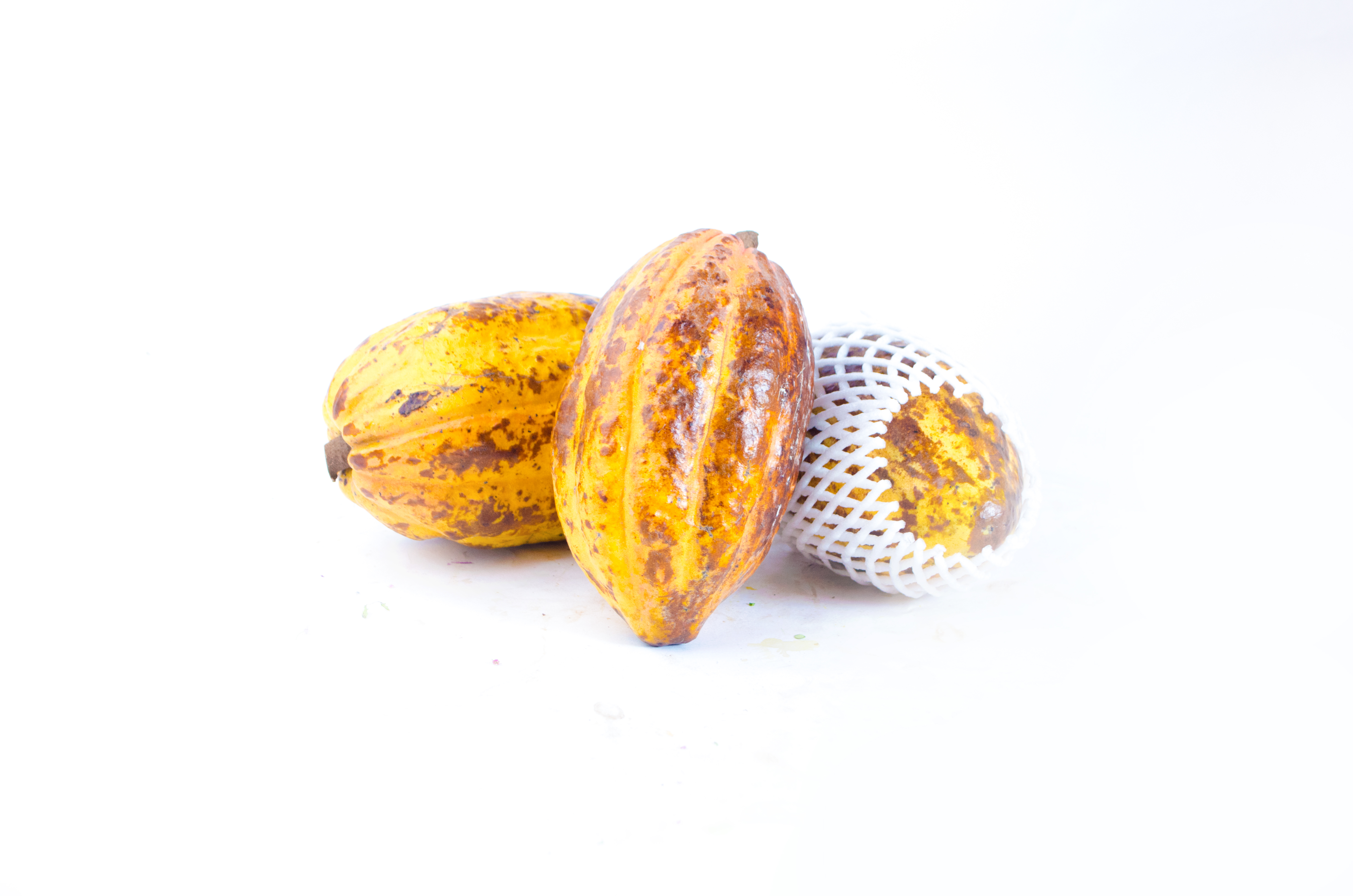 kakao-vietnam Kakaobohnen (Schoten) Kiste-groß