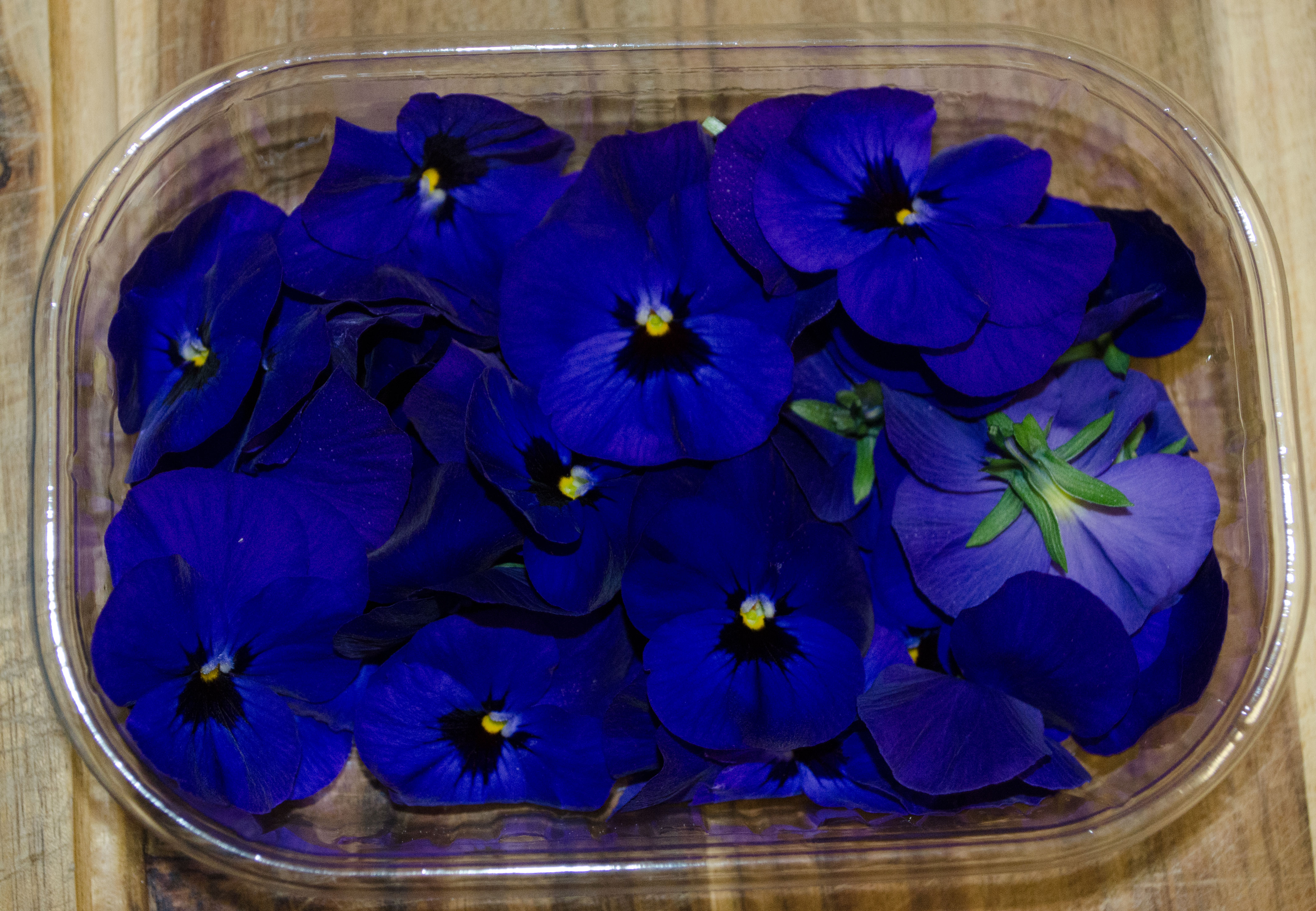 Stiefmütterchen blau - Essbare Blüten