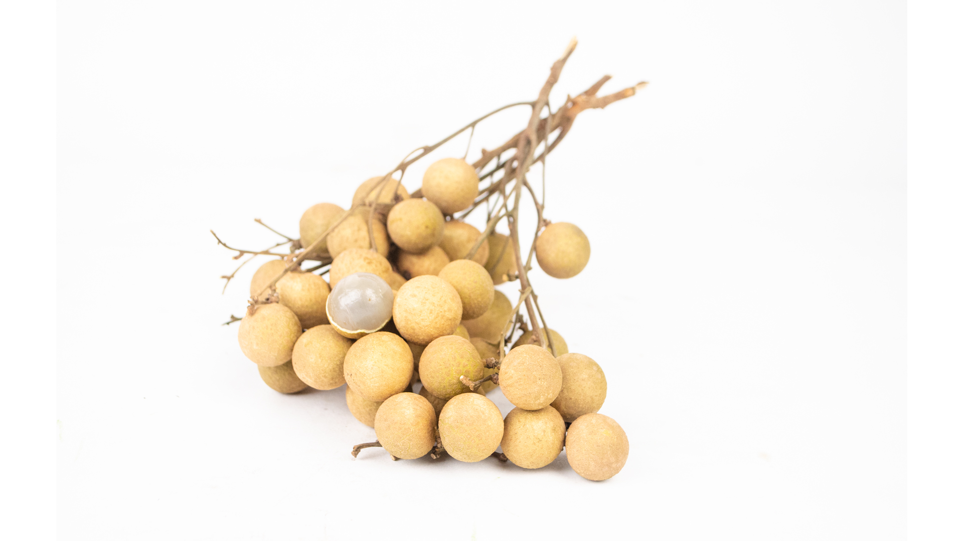 Longan